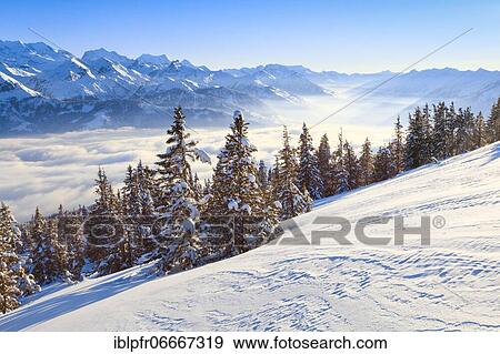 Stock Photo - Bernese Alps, view from Niederhorn, Switzerland, Europe. Fotosearch