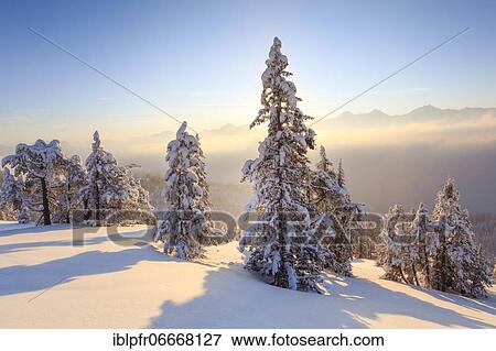 Bernese Alps, view from Niederhorn, Switzerland, Europe View Large Photo Image Stock Photo - Bernese Alps, view from Niederhorn, Switzerland, Europe. Fotosearch