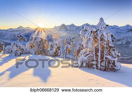 Bernese Alps, view from Niederhorn, Switzerland, Europe View Large Photo Image Stock Photo - Bernese Alps, view from Niederhorn, Switzerland, Europe. Fotosearch