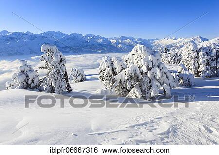 Bernese Alps, view from Niederhorn, Switzerland, Europe View Large Photo Image Stock Photograph - Bernese Alps, view from Niederhorn, Switzerland, Europe. Fotosearch