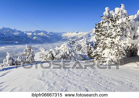 Bernese Alps, view from Niederhorn, Switzerland, Europe View Large Photo Image Stock Photography - Bernese Alps, view from Niederhorn, Switzerland, Europe. Fotosearch