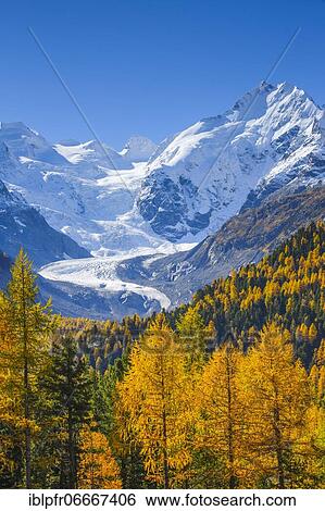 Bernina Pass road, Piz Bernina, 4049 m, Morteratsch Glacier, Upper Engadine, Grisons, Switzerland, Europe View Large Photo Image Stock Photograph - Bernina Pass road, Piz Bernina, 4049 m, Morteratsch Glacier, Upper Engadine, Grisons, Switzerland, Europe. Fotosearch