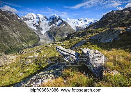 Biancograt, Piz Bernina-4049 m, Piz Roseg-3937 m, Grisons, Switzerland, Europe View Large Photo Image Stock Photograph - Biancograt, Piz Bernina-4049 m, Piz Roseg-3937 m, Grisons, Switzerland, Europe. Fotosearch