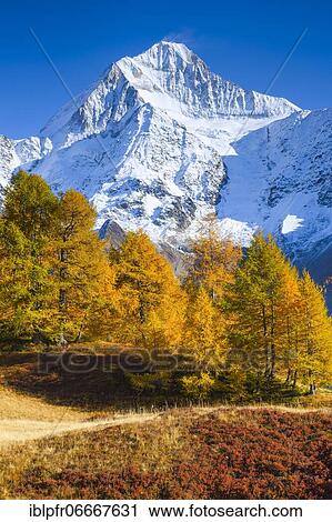 Stock Image - Bietschhorn, 3934m, Valais, Switzerland, Europe. Fotosearch