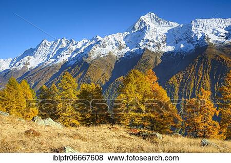 Bietschhorn, 3934m, Valais, Switzerland, Europe View Large Photo Image Stock Photo - Bietschhorn, 3934m, Valais, Switzerland, Europe. Fotosearch