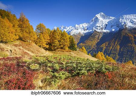 Bietschhorn, 3934m, Valais, Switzerland, Europe View Large Photo Image Stock Photograph - Bietschhorn, 3934m, Valais, Switzerland, Europe. Fotosearch