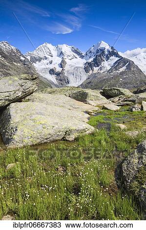 Stock Image - Bike trail at Fuorcla Surlej, view of Piz Bernina-4049 m, Biancograt, Piz Roseg-3937 m, Grisons, Switzerland, Europe. Fotosearch