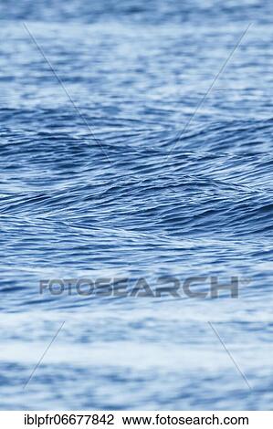 Blue sea with light swell View Large Photo Image Stock Image - Blue sea with light swell. Fotosearch