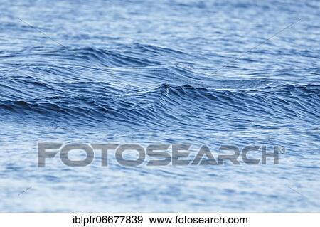 Blue sea with light swell View Large Photo Image Stock Photo - Blue sea with light swell. Fotosearch