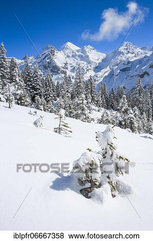 Stock Photo - Blüemlisalp Rothorn, Blüemlisalphorn, Oeschinenhorn, Bernese Alps, Switzerland, Europe. Fotosearch