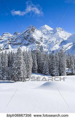 Blüemlisalp Rothorn, Blüemlisalphorn, Oeschinenhorn, Bernese Alps, Switzerland, Europe View Large Photo Image Stock Photograph - Blüemlisalp Rothorn, Blüemlisalphorn, Oeschinenhorn, Bernese Alps, Switzerland, Europe. Fotosearch