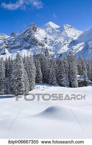 Blüemlisalp Rothorn, Blüemlisalphorn, Oeschinenhorn, Bernese Alps, Switzerland, Europe View Large Photo Image Stock Photography - Blüemlisalp Rothorn, Blüemlisalphorn, Oeschinenhorn, Bernese Alps, Switzerland, Europe. Fotosearch