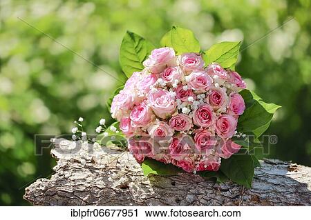 Bouquet on wooden board View Large Photo Image Stock Image - Bouquet on wooden board. Fotosearch