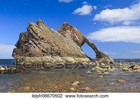 Stock Image - Bow Fiddle Rock, Scotland, Great Britain. Fotosearch