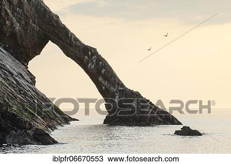 Bow Fiddle Rock, Scotland, Great Britain View Large Photo Image Stock Image - Bow Fiddle Rock, Scotland, Great Britain. Fotosearch