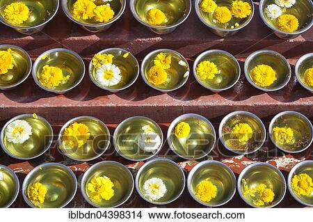 Bowls with saffron water and flowers, Boudhadhnath Temple, Kathmandu, Nepal, Asia View Large Photo Image Picture - Bowls with saffron water and flowers, Boudhadhnath Temple, Kathmandu, Nepal, Asia. Fotosearch