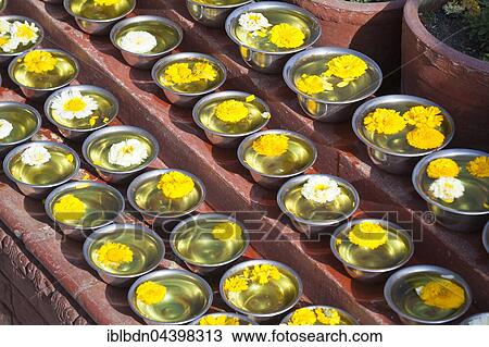 Bowls with saffron water and flowers, Boudhadhnath Temple, Kathmandu, Nepal, Asia View Large Photo Image Stock Image - Bowls with saffron water and flowers, Boudhadhnath Temple, Kathmandu, Nepal, Asia. Fotosearch