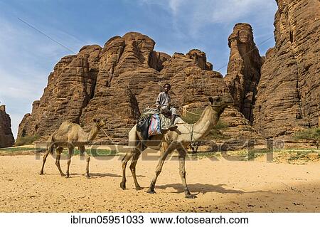 Boy riding on camel, Ouinimia Amphitheater, Ennedi Plateau, Tschad View Large Photo Image Stock Image - Boy riding on camel, Ouinimia Amphitheater, Ennedi Plateau, Tschad. Fotosearch