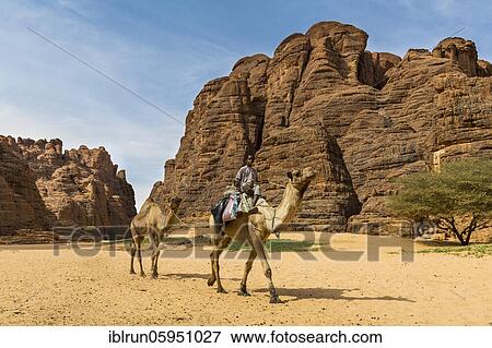 Boy riding on camel, Ouinimia Amphitheater, Ennedi Plateau, Tschad View Large Photo Image Stock Photo - Boy riding on camel, Ouinimia Amphitheater, Ennedi Plateau, Tschad. Fotosearch
