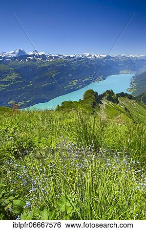 Brienzer Rothorn, Switzerland, Europe View Large Photo Image Stock Photograph - Brienzer Rothorn, Switzerland, Europe. Fotosearch