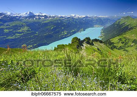 Stock Photography - Brienzer Rothorn, Switzerland, Europe. Fotosearch