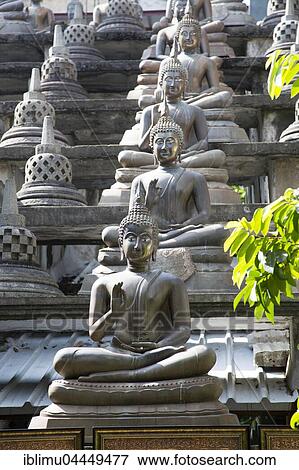 Buddha statues, Gangaramaya Buddhist Temple, Colombo, Sri Lanka, Asia View Large Photo Image Stock Photo - Buddha statues, Gangaramaya Buddhist Temple, Colombo, Sri Lanka, Asia. Fotosearch