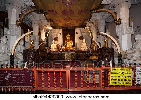 Stock Photo - Buddha statues in Sri Dalada Maligawa or Temple of the Sacred Tooth Relic, Buddhist sanctuary, Kandy, Central Province, Sri Lanka, Asia. Fotosearch