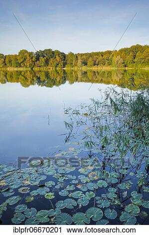 Burgäschisee, Solothurn, Switzerland, Europe View Large Photo Image Stock Image - Burgäschisee, Solothurn, Switzerland, Europe. Fotosearch