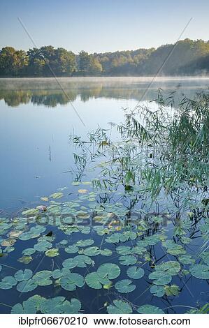 Burgäschisee, Solothurn, Switzerland, Europe View Large Photo Image Stock Image - Burgäschisee, Solothurn, Switzerland, Europe. Fotosearch