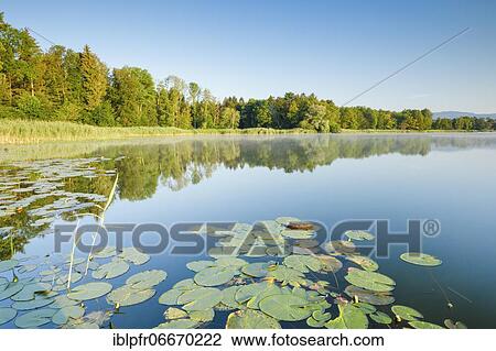 Burgäschisee, Solothurn, Switzerland, Europe View Large Photo Image Stock Image - Burgäschisee, Solothurn, Switzerland, Europe. Fotosearch