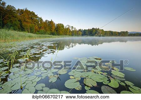 Burgäschisee, Solothurn, Switzerland, Europe View Large Photo Image Stock Photo - Burgäschisee, Solothurn, Switzerland, Europe. Fotosearch