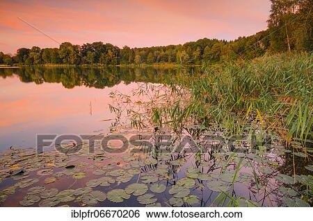 Burgäschisee, Solothurn, Switzerland, Europe View Large Photo Image Stock Photograph - Burgäschisee, Solothurn, Switzerland, Europe. Fotosearch