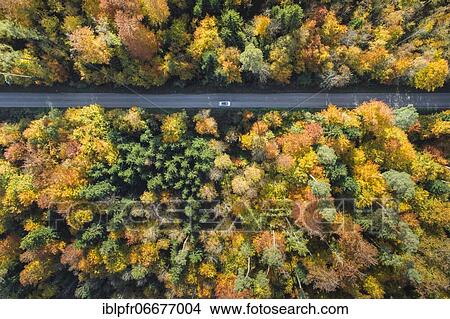 Car driving on forest lined road, Switzerland, Europe View Large Photo Image Picture - Car driving on forest lined road, Switzerland, Europe. Fotosearch