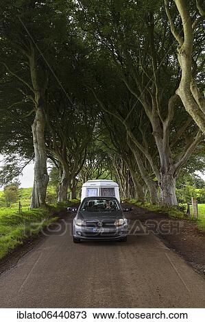 Car with caravan, driving through Beech Avenue, The Dark Hedges, Ballymoney, County Antrim, Northern Ireland, United Kingdom, Europe View Large Photo Image Stock Image - Car with caravan, driving through Beech Avenue, The Dark Hedges, Ballymoney, County Antrim, Northern Ireland, United Kingdom, Europe. Fotosearch