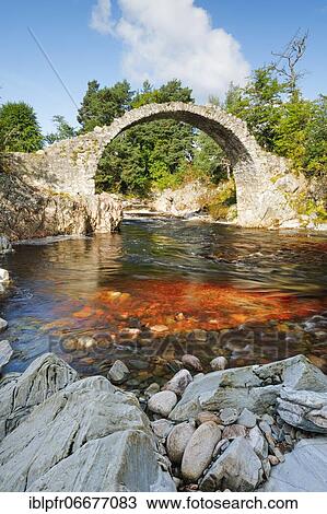 Carrbridge with Dulnain River, Scotland, Great Britain View Large Photo Image Stock Image - Carrbridge with Dulnain River, Scotland, Great Britain. Fotosearch