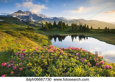 Stock Image - Chalberboden View of Schwarzhorn, Bern, Switzerland, Europe. Fotosearch