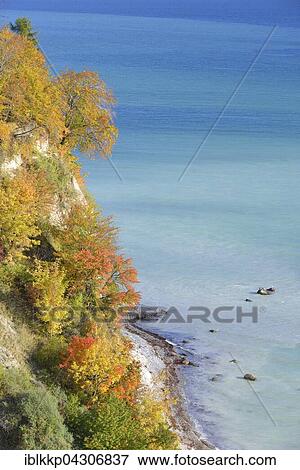 Chalk coast in autumn, coloured trees on cliffs, Baltic Sea, Sassnitz, Rügen, Mecklenburg-Western Pomerania View Large Photo Image Stock Photo - Chalk coast in autumn, coloured trees on cliffs, Baltic Sea, Sassnitz, Rügen, Mecklenburg-Western Pomerania. Fotosearch