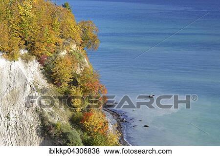 Chalk coast in autumn, coloured trees on cliffs, Baltic Sea, Sassnitz, Rügen, Mecklenburg-Western Pomerania View Large Photo Image Stock Photo - Chalk coast in autumn, coloured trees on cliffs, Baltic Sea, Sassnitz, Rügen, Mecklenburg-Western Pomerania. Fotosearch