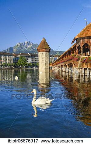 Chapel Bridge with Pilatus, Lucerne, Switzerland, Europe View Large Photo Image Stock Photo - Chapel Bridge with Pilatus, Lucerne, Switzerland, Europe. Fotosearch