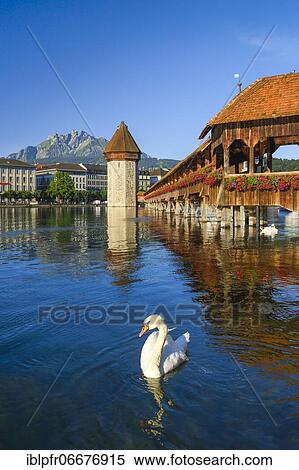 Chapel Bridge with Pilatus, Lucerne, Switzerland, Europe View Large Photo Image Stock Photography - Chapel Bridge with Pilatus, Lucerne, Switzerland, Europe. Fotosearch