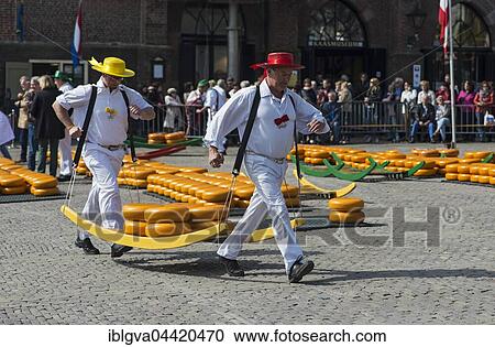 Cheese carriers at Alkmaar Cheese Market, North Holland, Netherlands View Large Photo Image Stock Image - Cheese carriers at Alkmaar Cheese Market, North Holland, Netherlands. Fotosearch