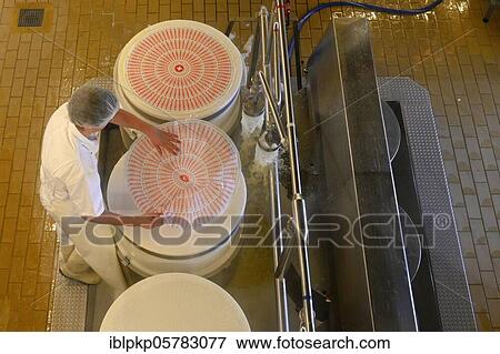Stock Photo - Cheese maker puts label Emmentaler on the cheese press mould, Affoltern im Emmental, Switzerland, Europe. Fotosearch