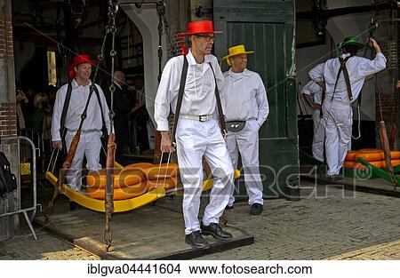 Cheese wheels being weighed, carried on wooden stretcher from scales to cheese market, Alkmaar, Holland, The Netherlands, Europe View Large Photo Image Picture - Cheese wheels being weighed, carried on wooden stretcher from scales to cheese market, Alkmaar, Holland, The Netherlands, Europe. Fotosearch