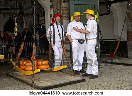 Cheese wheels being weighed, carried on wooden stretcher from scales to cheese market, Alkmaar, Holland, The Netherlands, Europe View Large Photo Image Stock Image - Cheese wheels being weighed, carried on wooden stretcher from scales to cheese market, Alkmaar, Holland, The Netherlands, Europe. Fotosearch