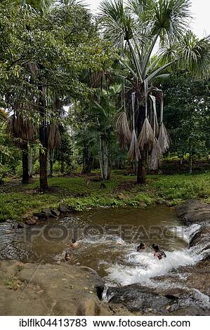 Children bathing in a river, Batata, Trairão District, Pará, Brazil, South America View Large Photo Image Stock Image - Children bathing in a river, Batata, Trairão District, Pará, Brazil, South America. Fotosearch