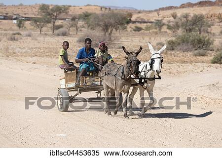Stock Photography - Children on donkey cart, Brandberg, Namibia, Africa. Fotosearch
