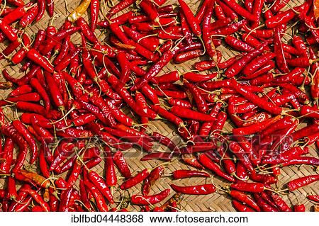 Chili's are drying in the sun on a braided mat, Sarangkot, Kaski District, Nepal, Asia View Large Photo Image Stock Photo - Chili's are drying in the sun on a braided mat, Sarangkot, Kaski District, Nepal, Asia. Fotosearch