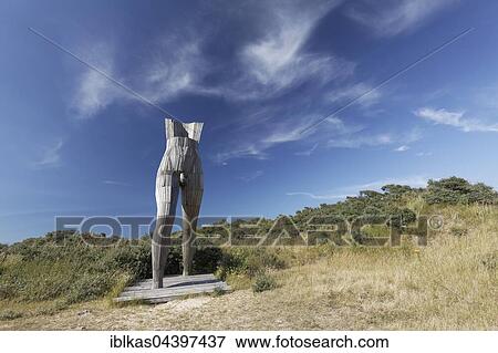 Stock Photo - Christophorus, male torso sculpture, by artist Gerard Lentink at the sculpture park in De Panne, Belgian coastal dunes, West Flanders, Flanders, Belgium, Europe. Fotosearch