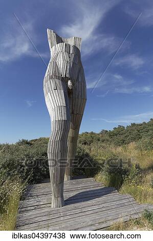 Stock Photo - Christophorus, male torso sculpture, by artist Gerard Lentink, at the sculpture park in De Panne, Belgian coastal dunes, West Flanders, Flanders, Belgium, Europe. Fotosearch