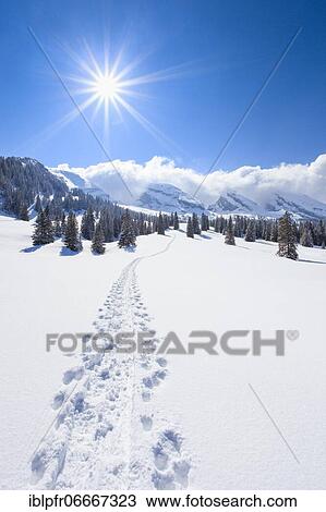 Stock Image - Churfirsten, Toggenburg, Switzerland, Europe. Fotosearch